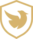 Reven Esports