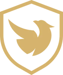 Reven Esports