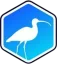 Curlews