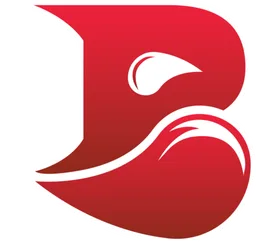 Bleed Esports