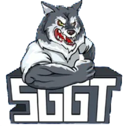 SayGGTeam
