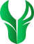Carti Esports