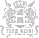 Team SEIBI