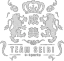 Team SEIBI