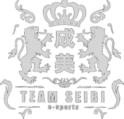 Team SEIBI