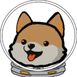 SpaceShoobs!