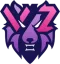 Vizora Esports