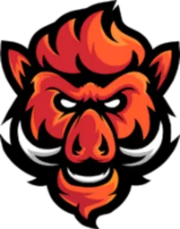 Boars Gaming