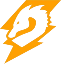 DRGN TEAM