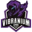 Vibranium Esports