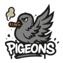 Pigeons