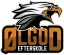 Ølgod Efterskole