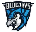 BLUEJAYS.de
